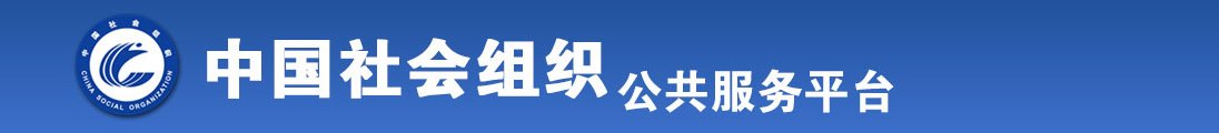 站长工具中文字幕全国社会组织信息查询